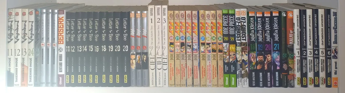 Lot de mangas : 27/10
