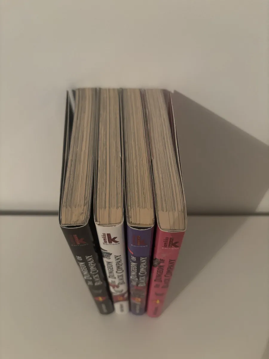 The Dungeon of Black Company - Tomes 1 à 4 - Édition Komikku - Très bon état