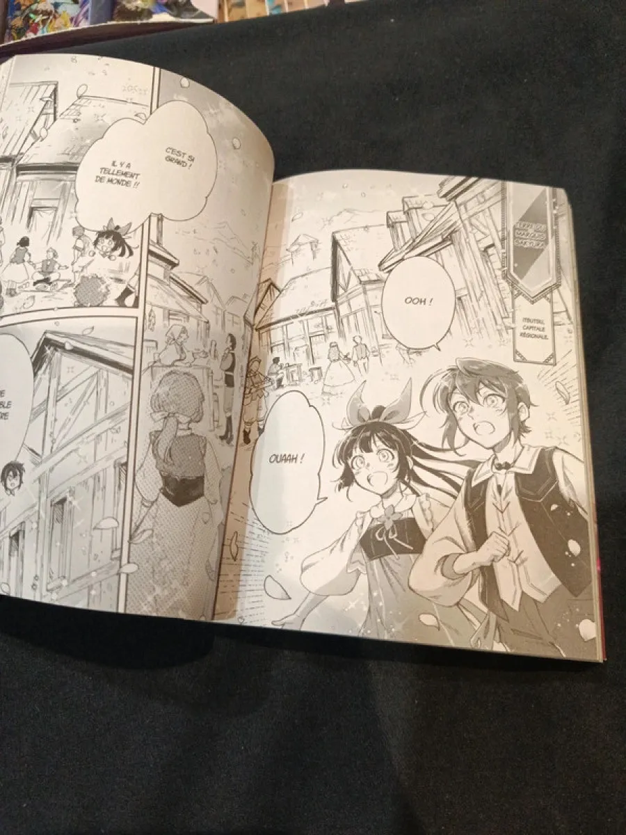 Ash le bâtisseur de civilisation tome 4