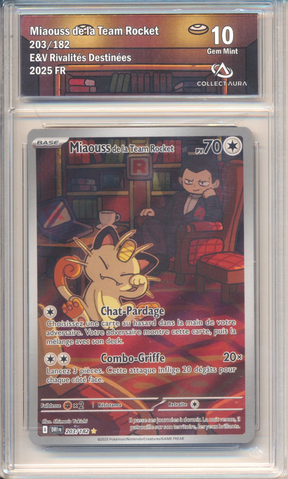 Miaouss de la Team Rocket - Pokemon (Rivalités Destinées)