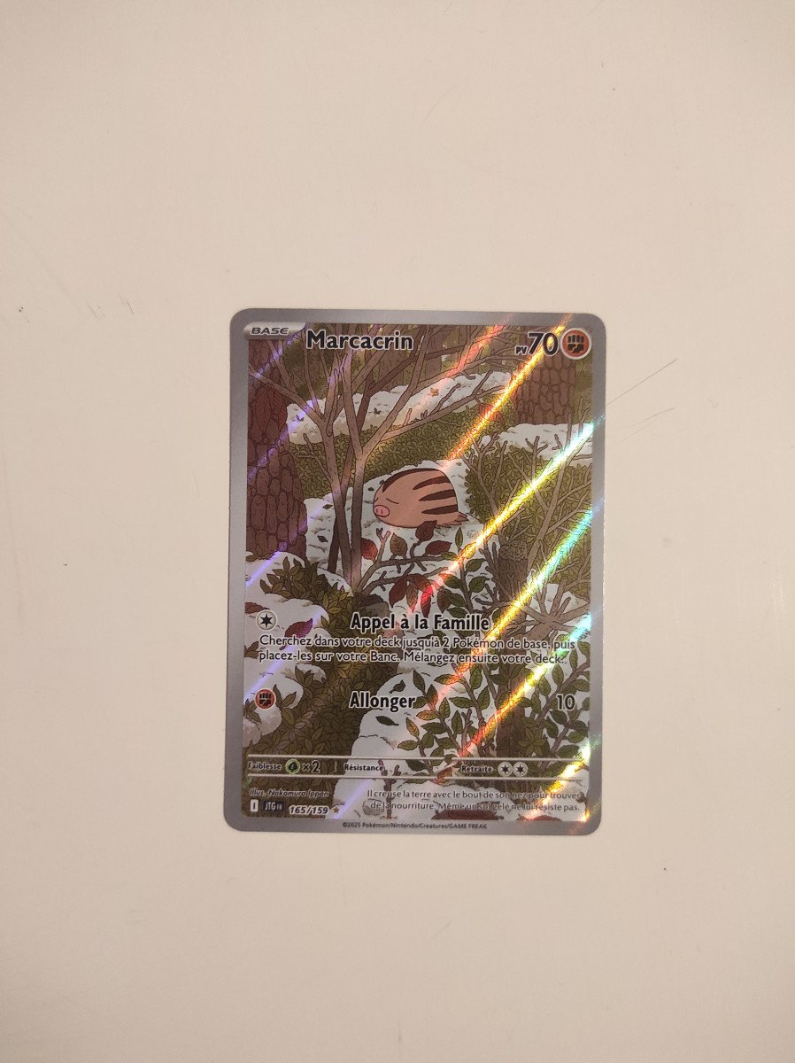 Marcacrin AR 🇫🇷 JTG