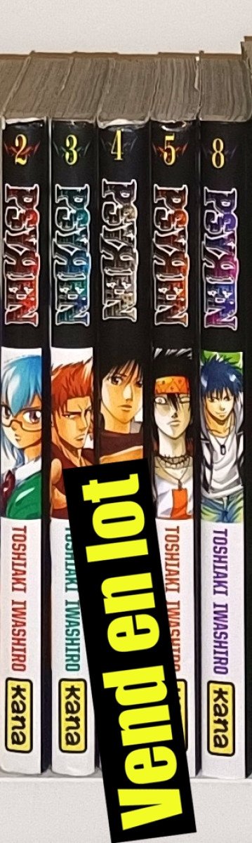 Psyren : 5 tomes (sur 16)