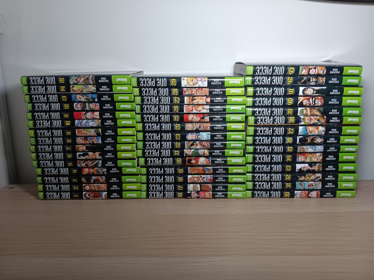 1-31 one piece en français