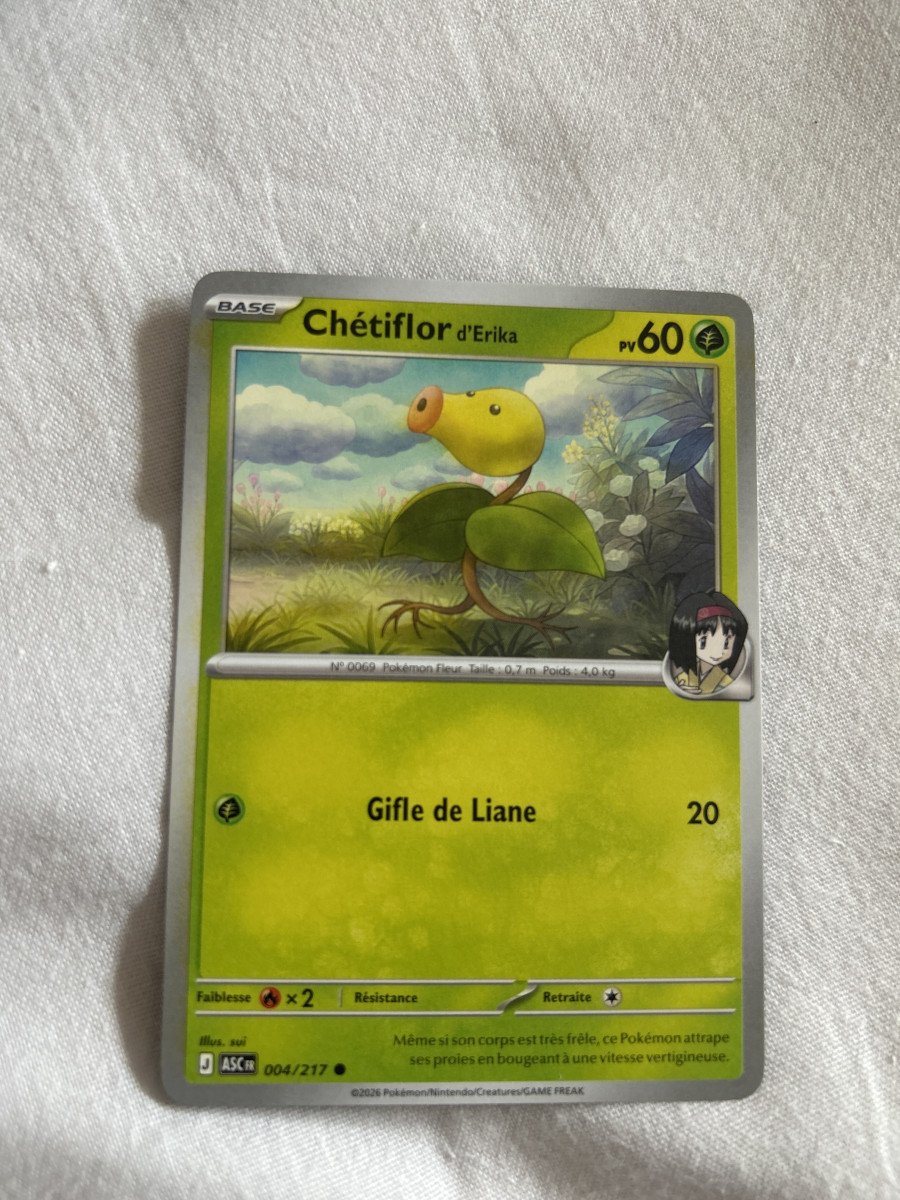 Chetiflor d’erika 4/217 Héros transcendants