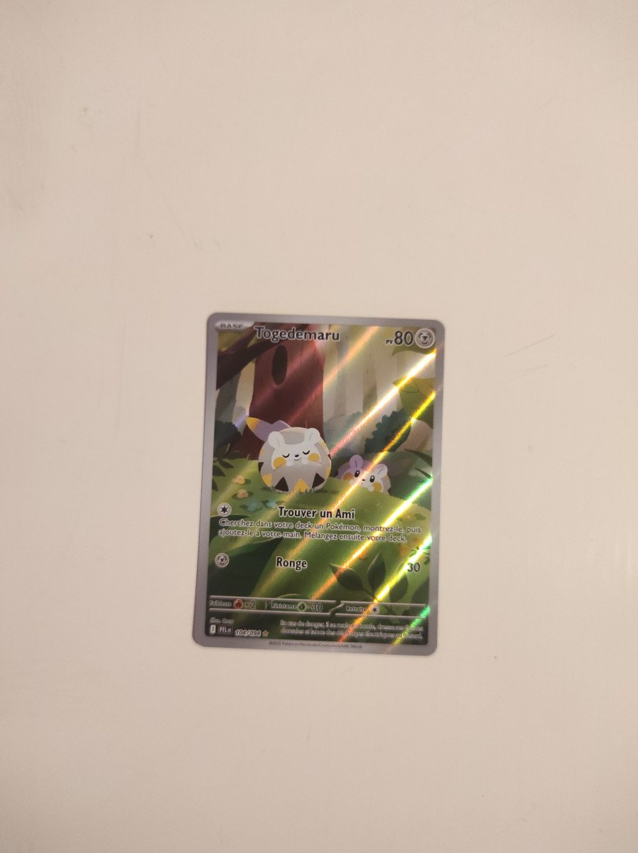 Togedemaru AR 🇫🇷 ME2