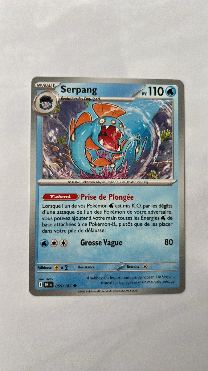 Serpang 55/182 Rivalités destinées