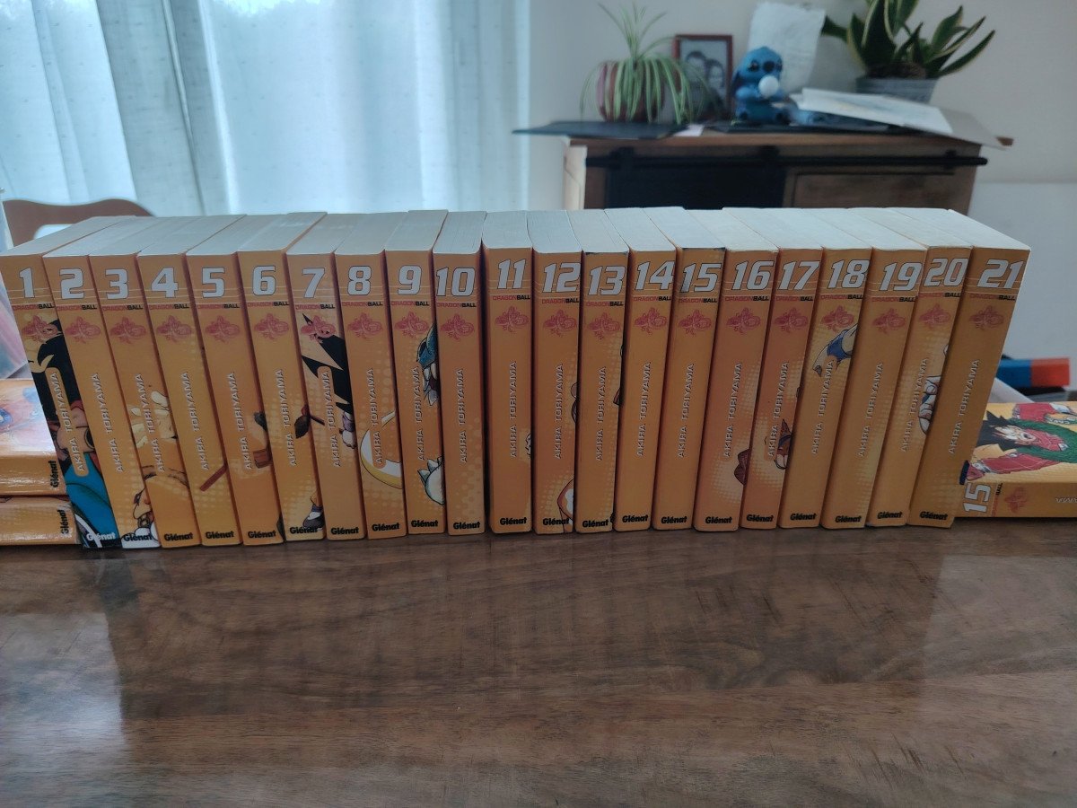 Dragon ball edition double complet