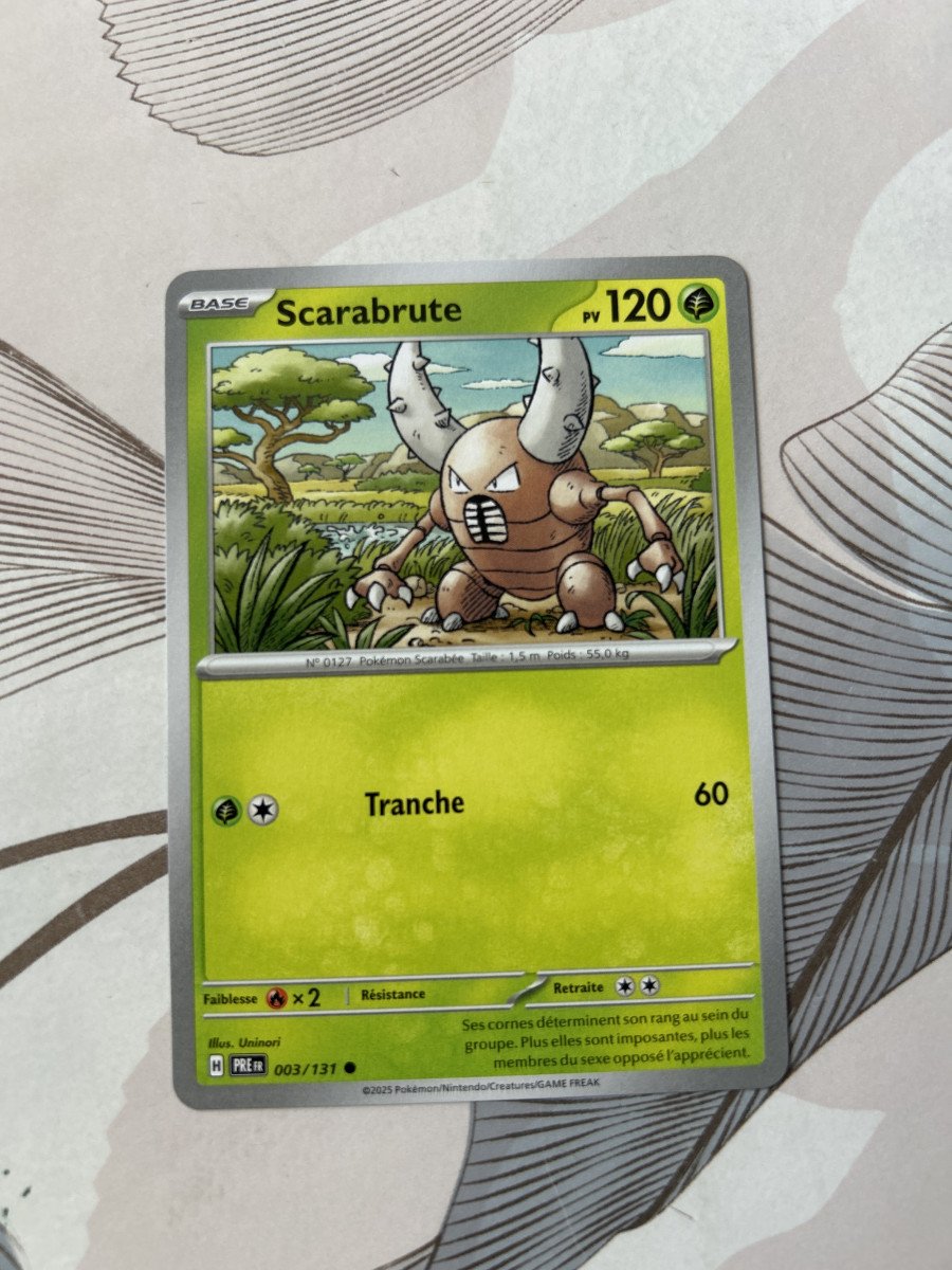 Scarabrute 3/131 évolution prismatique