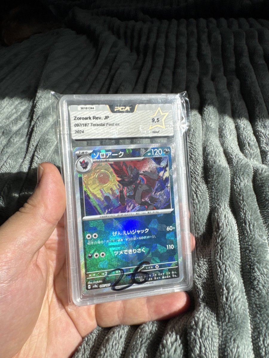 Duo de Zoroark Pokeball PCA 9.5