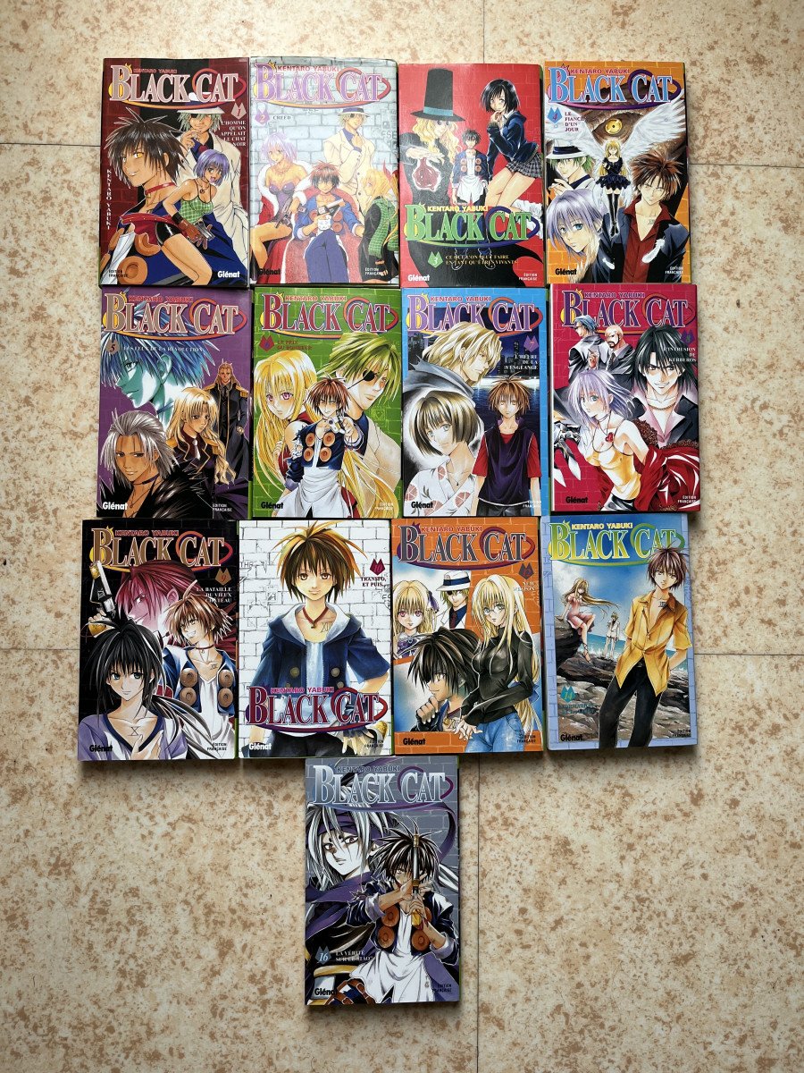 Vends lot de manga "Black Cat" tome 1 à 10 tome 12,14 et 16