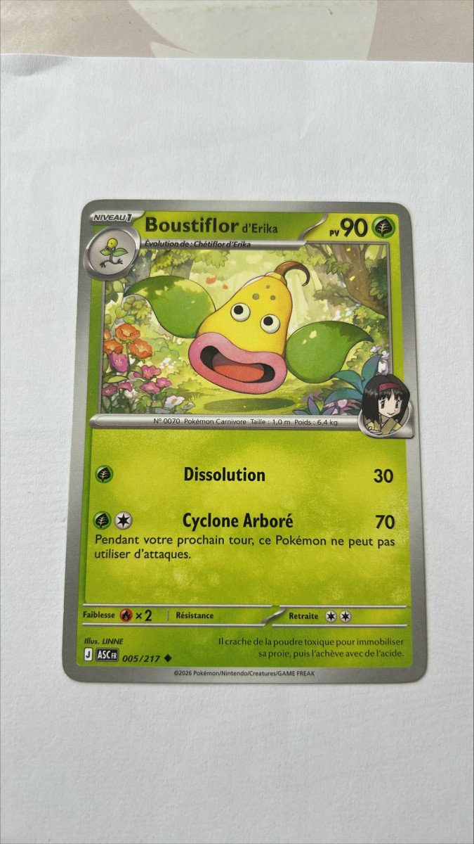 Boustiflor d'erika 5/217 Héros transcendants