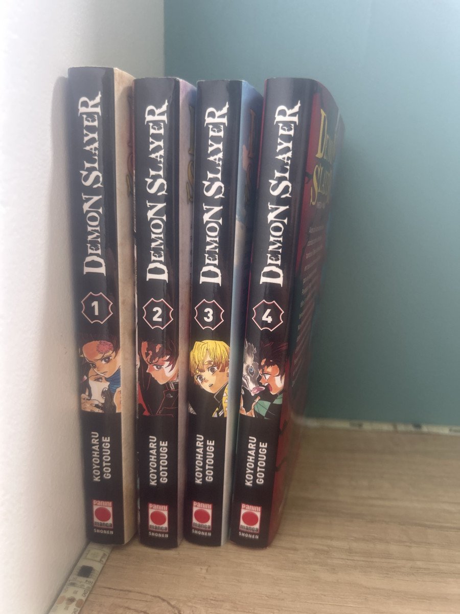 Lot 4 tomes Démon Slayer