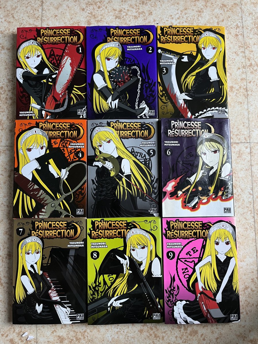 Vends lot de manga "Princesse Résurrection" tome 1 à 9