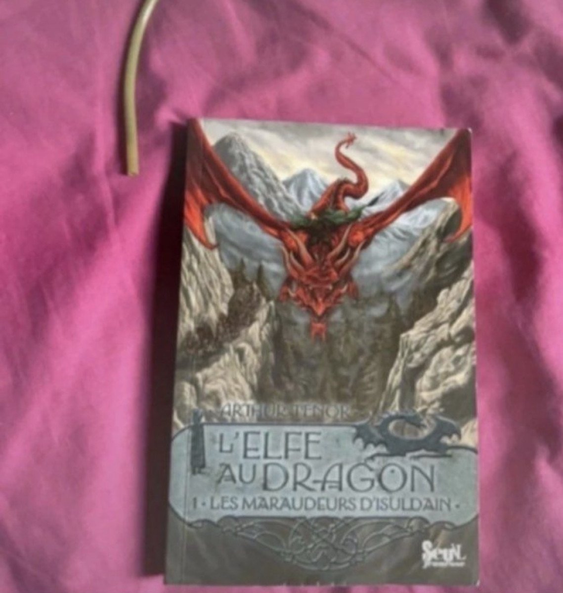 L’elfe au dragon