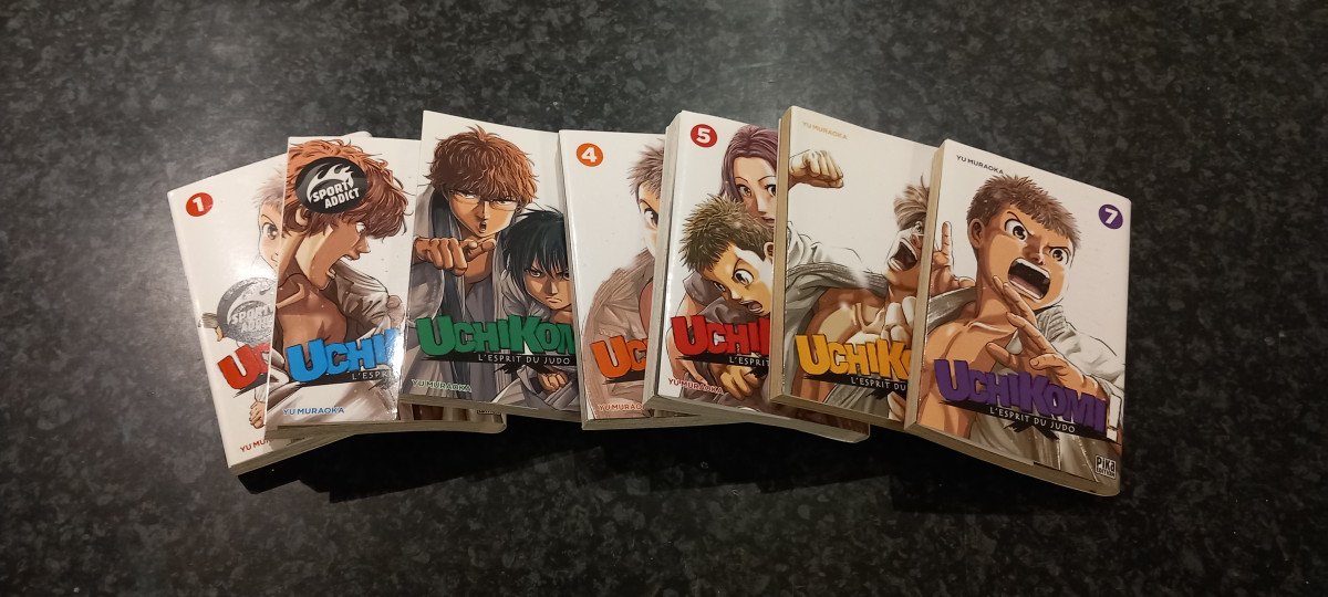 Uchikomi l'esprit du judo complet
