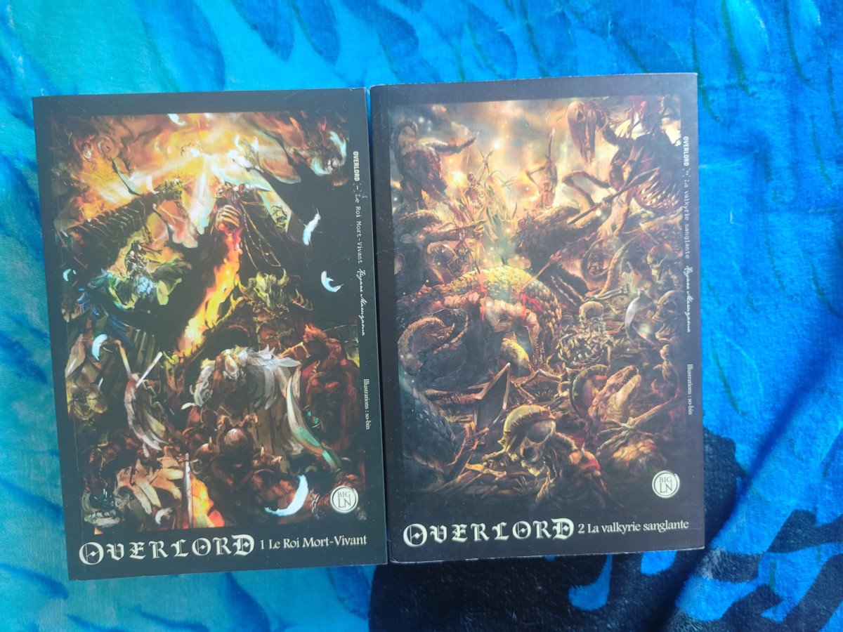 Overlord Light Novel (Roman) tome 1 et 2