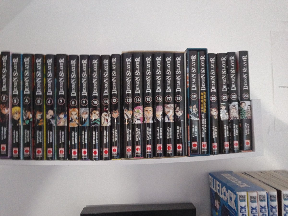 Intégrale demon slayer + tome 1 et 2 mashle