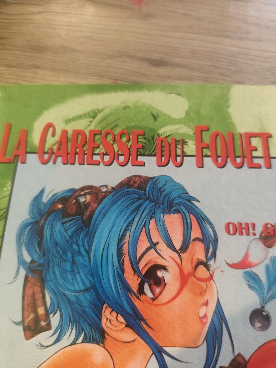 La carresse du fouet T3