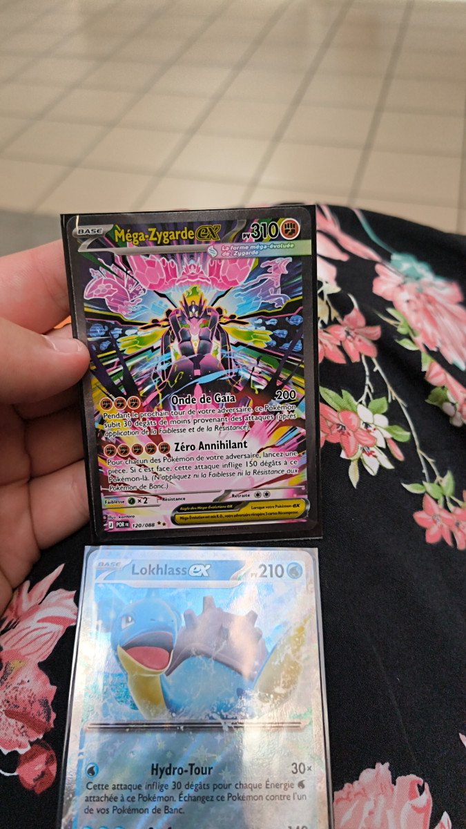 Méga-Zygarde Ex