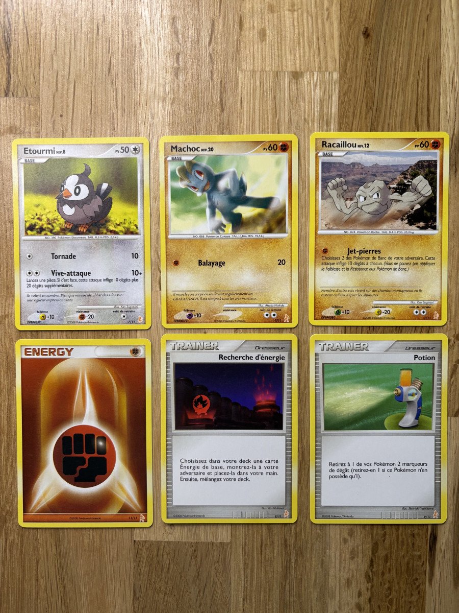 Cartes Kit Dresseur Lucario