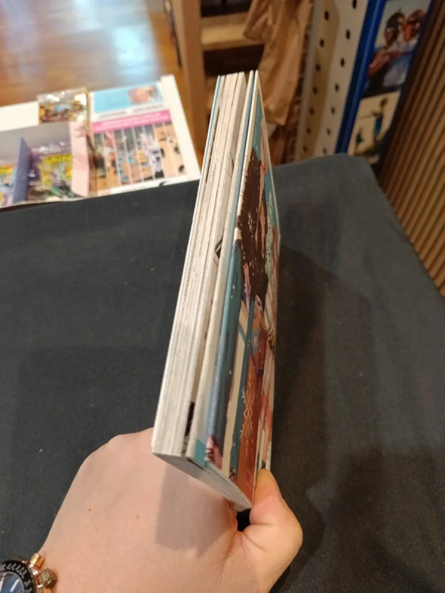 The ice guy & the cool girl tome 6