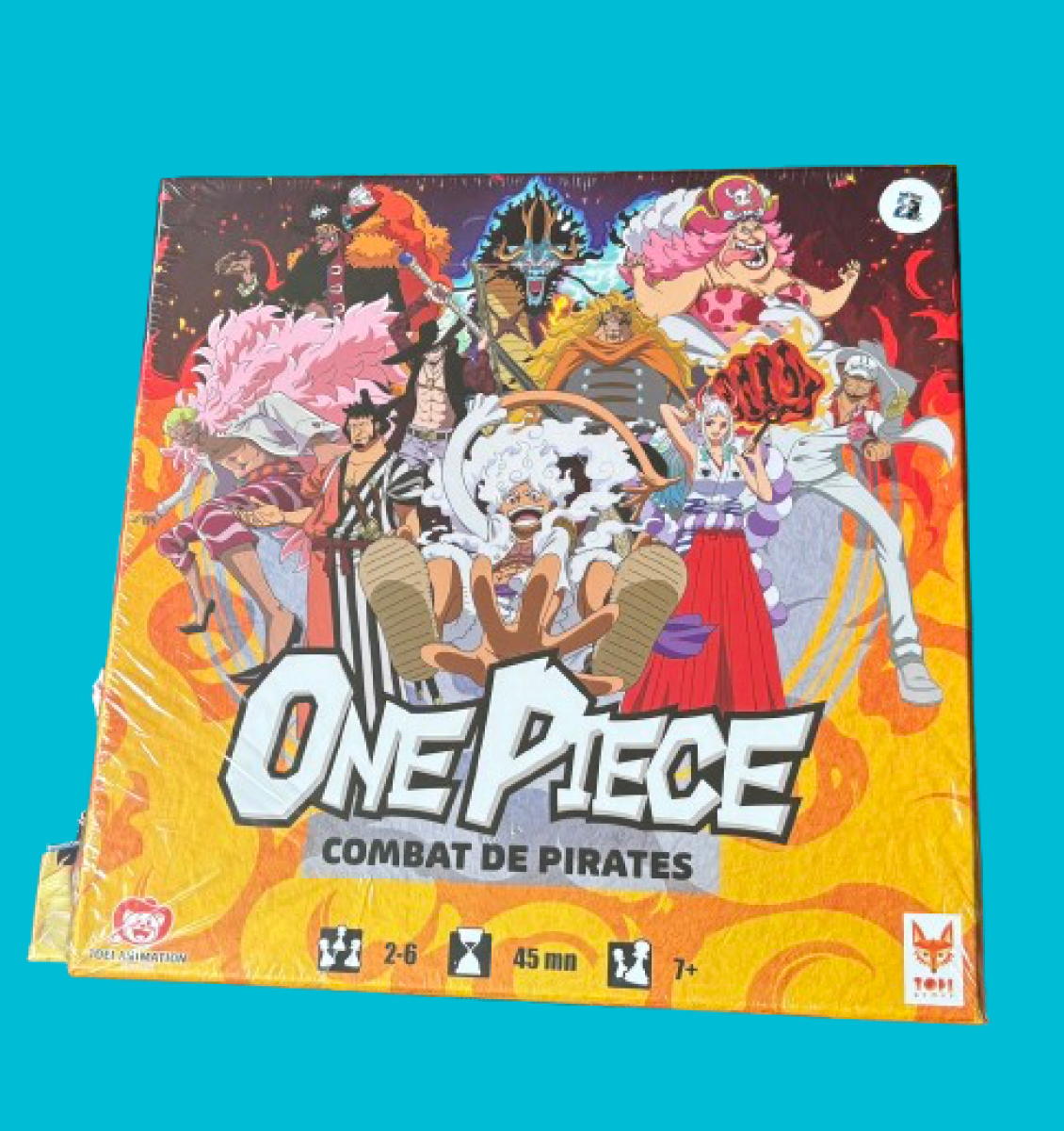 One Piece Combat de Pirate