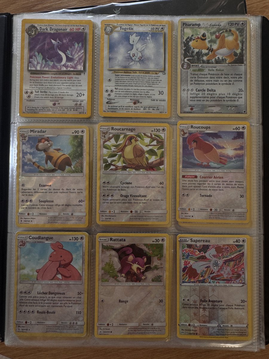Lot de 3 classeurs + nombreuses cartes