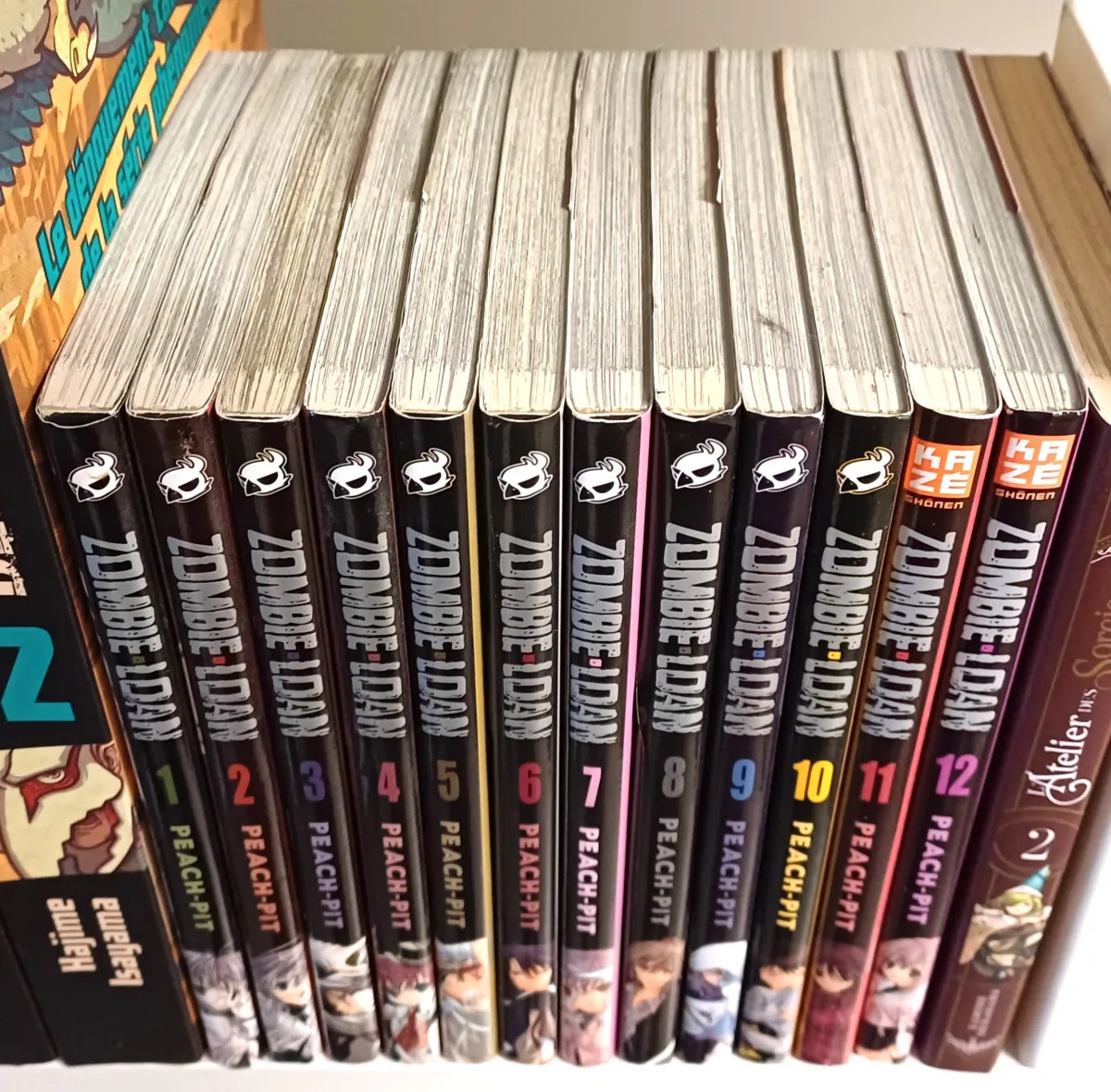 đź’Ą Zombie Loan : 1Ă 12 (sur 13)