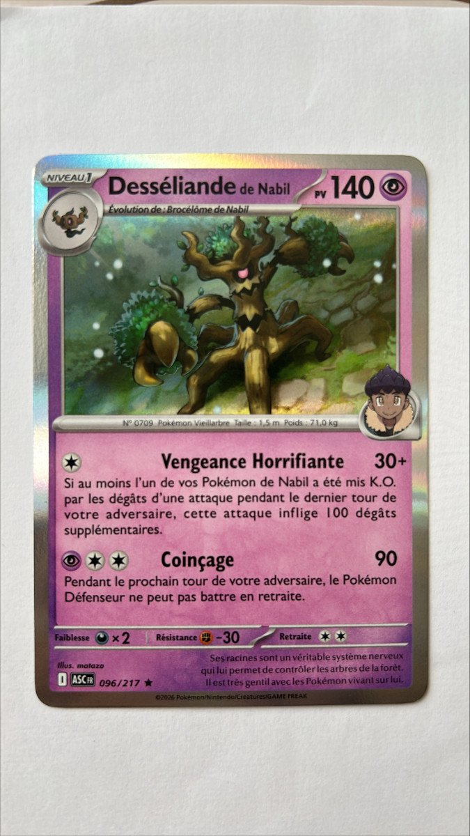 Desséliande de Nabil 96/217 Héros transcendants