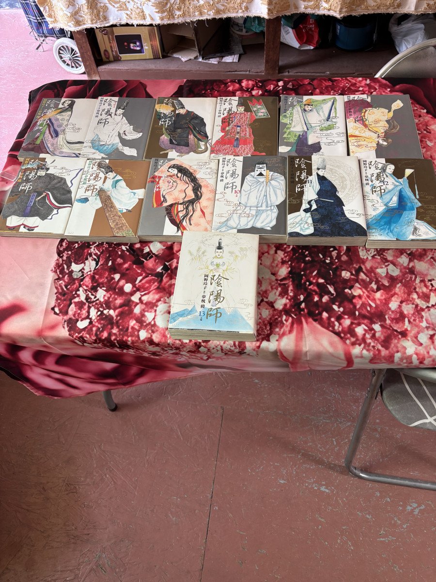 Collection de mangas rares