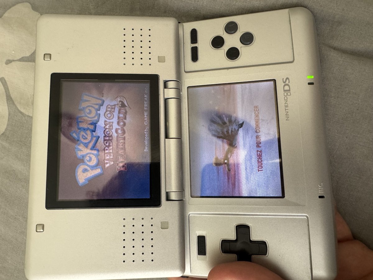 Nintendo ds tank