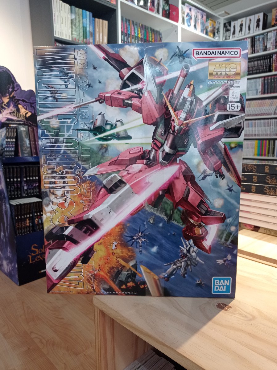 Gundam Gunpla MG 1/100 Infinite Justice