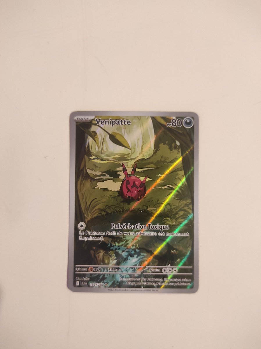 Venipatte AR 🇫🇷 BLK