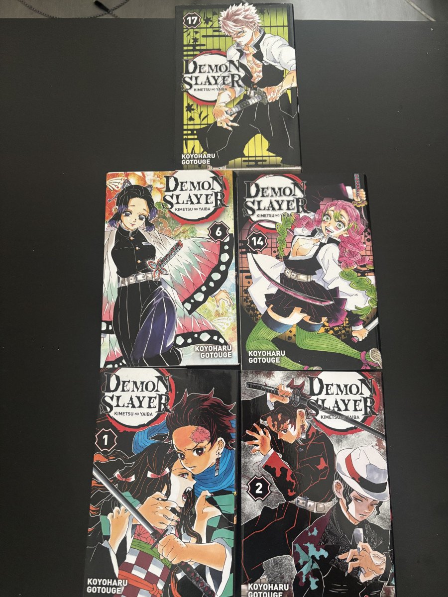 Lot de 5 tomes Demon Slayer (1,2,6,14,17) en très bonne état