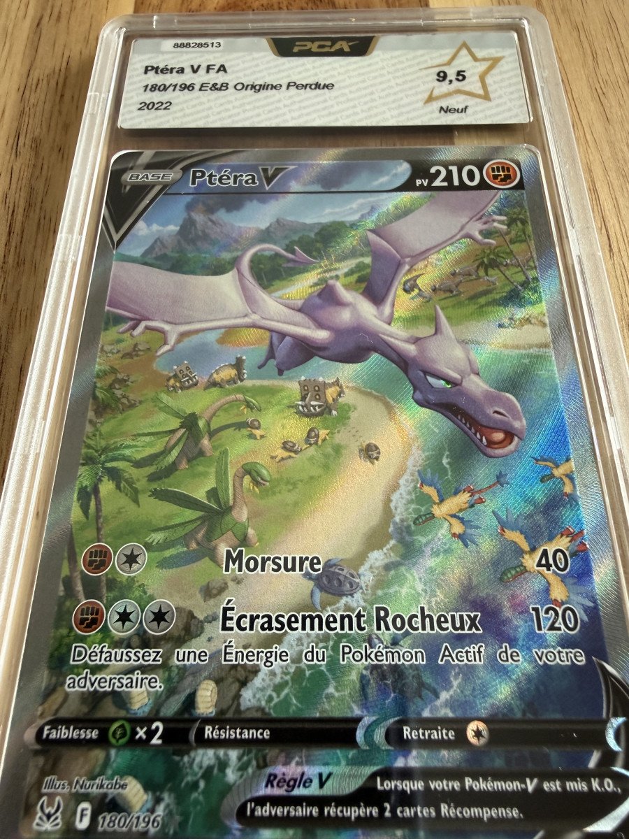 Ptera V 180/196 - PCA 9,5