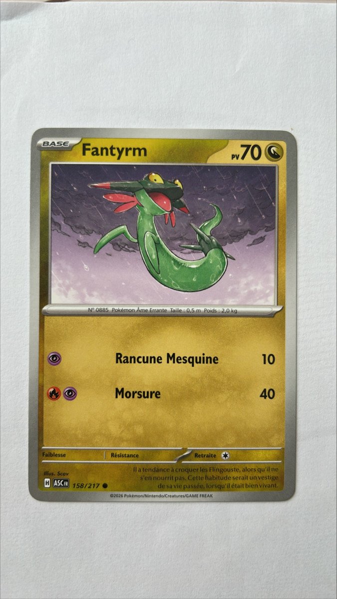 fantyrm 158/217 Héros transcendants
