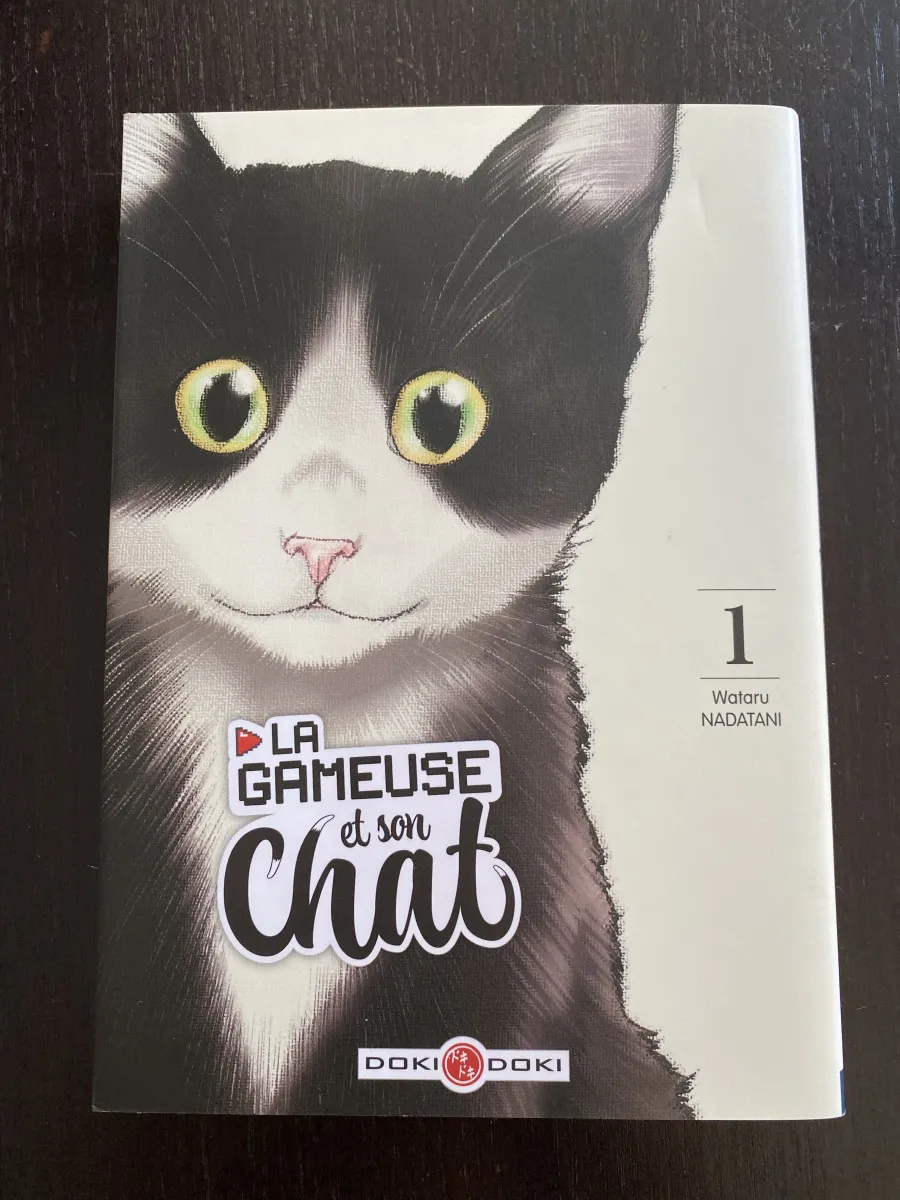 La gameuse et son chat, Tome 1