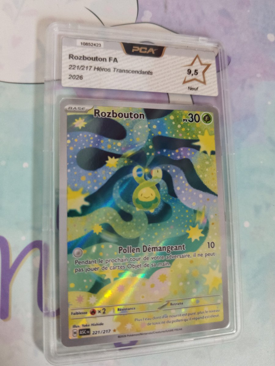 Rozbouton 221