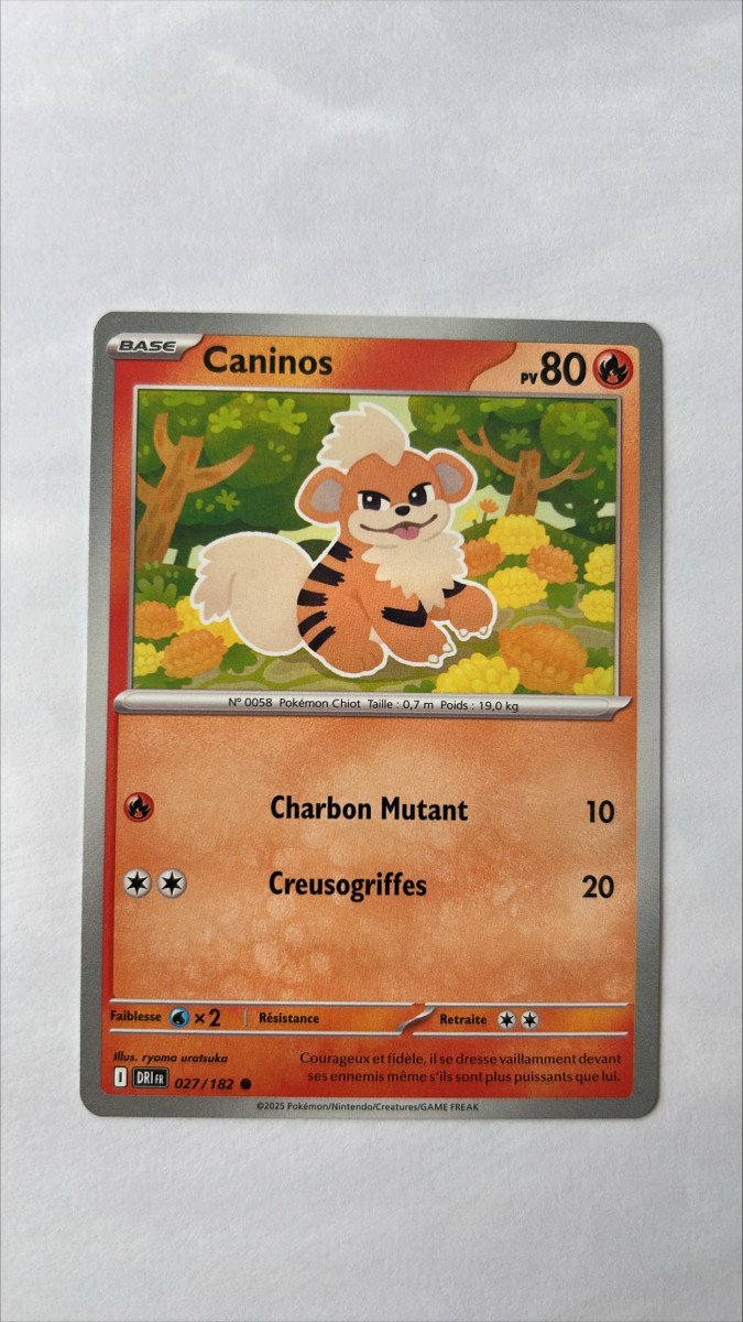 Caninos 27/182 Rivalités destinées