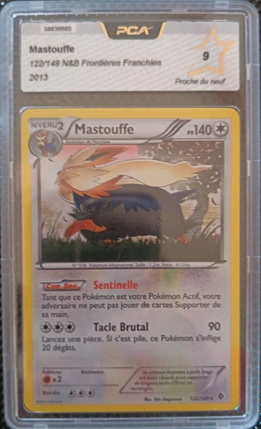Mastouffe - Pokemon (Frontiéres Franchies)