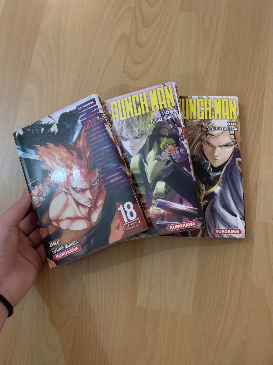 T18 à 20 One Punch Man