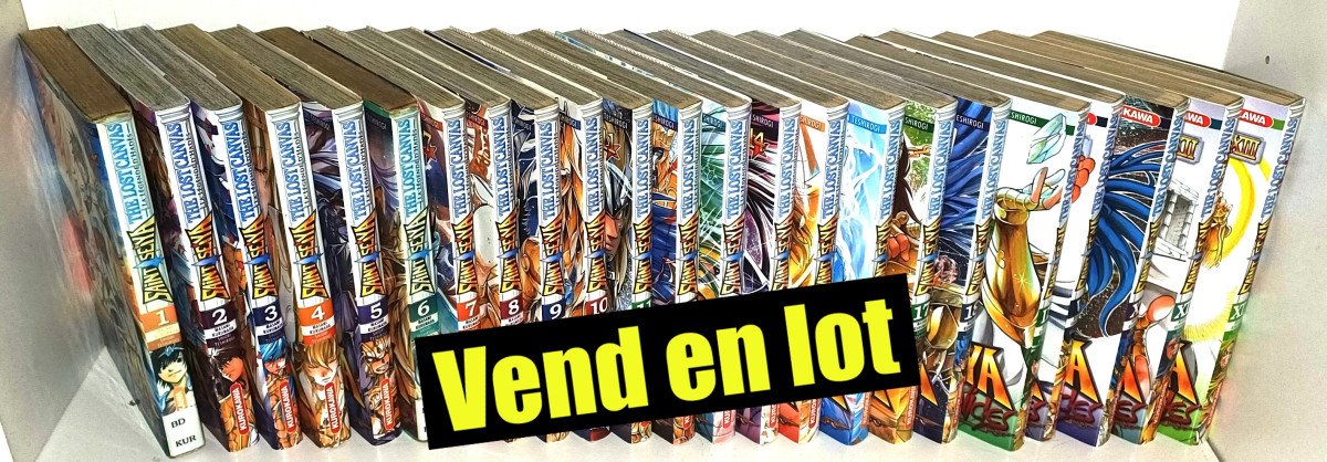 Saint seiya lost canvas : 23 tomes