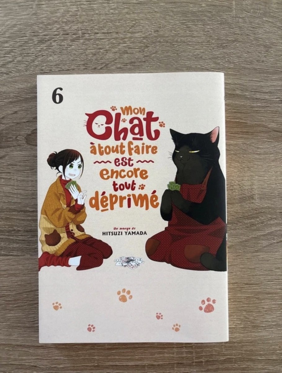 Mon chat a tout faire - tome 6