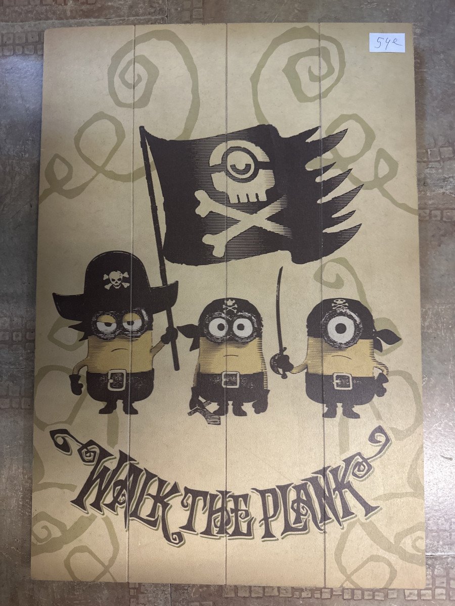 Cadre bois minions pirates neuf
