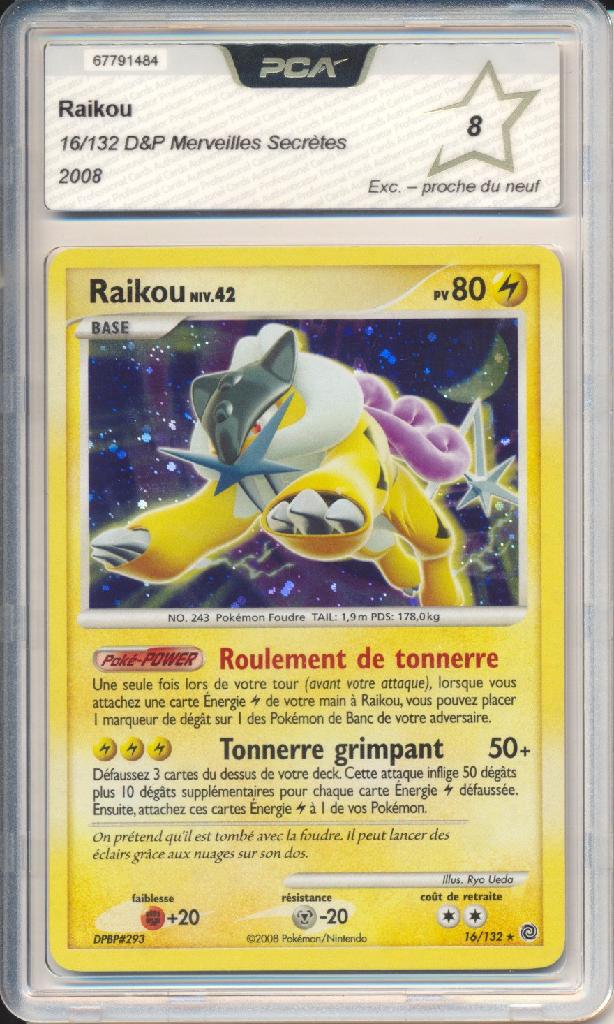 Raikou - Pokemon (Merveilles Secrétes)