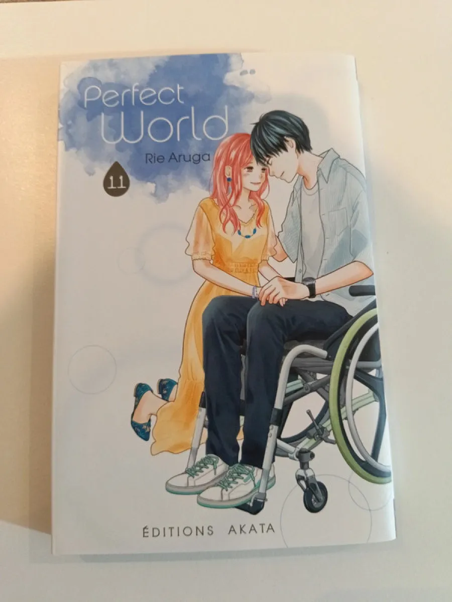 Perfect World tome 11