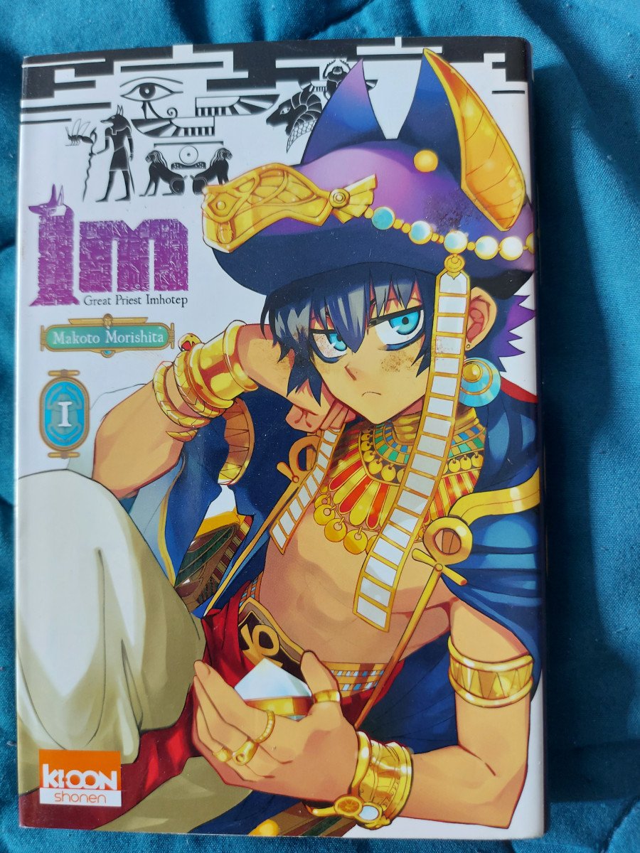 Manga intégral IM