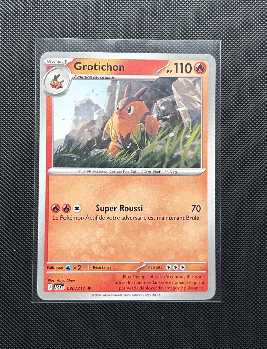 Carte Pokémon - Grotichon 30/217 - Héros Transcendants