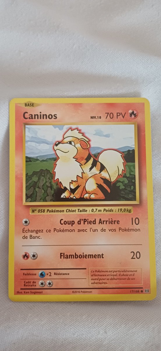 Carte pokémon Caninos