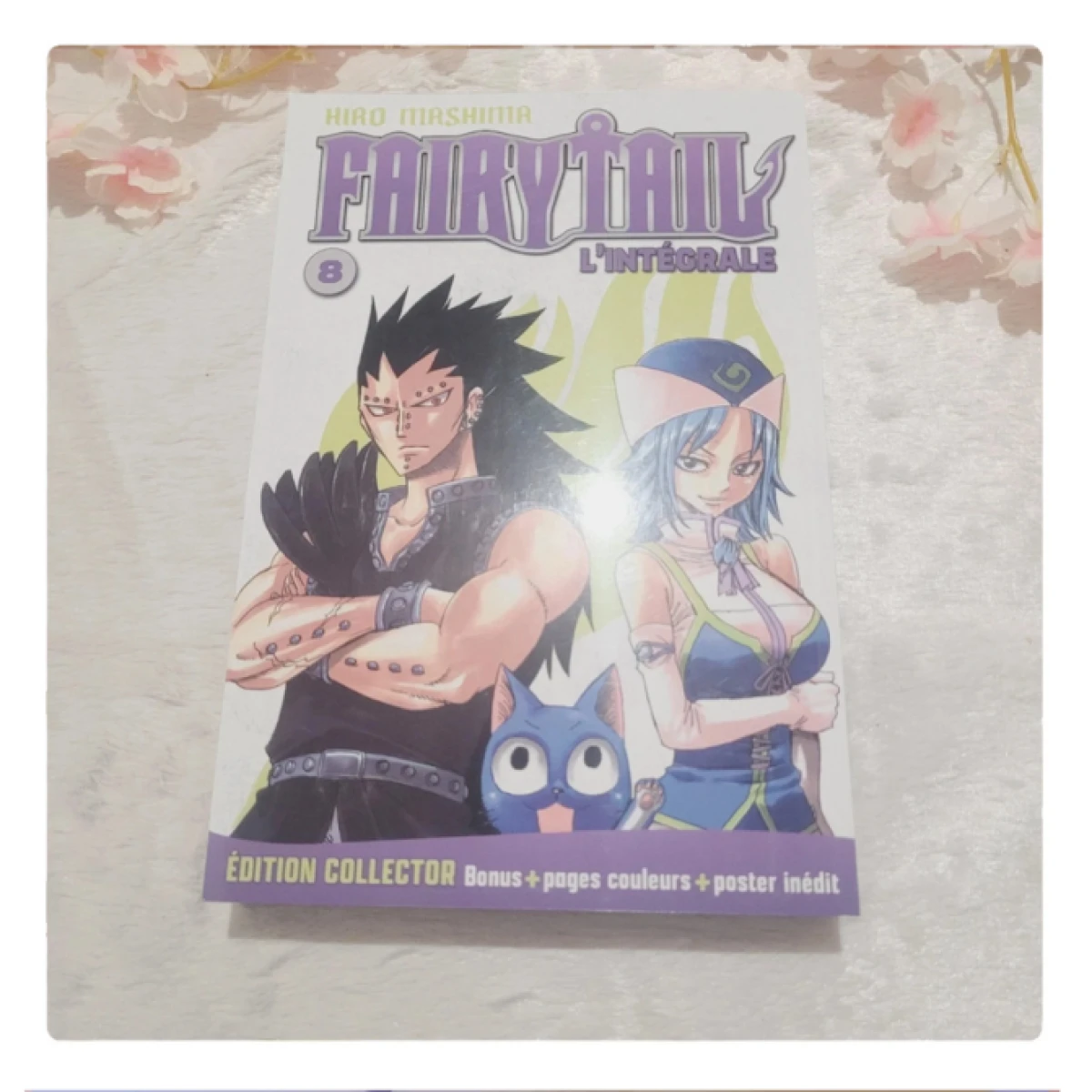 Manga Fairy Tail Hachette Edition Collector T08